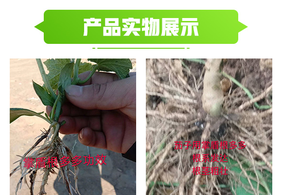 青岛威尔辄物科技有限公司产品详情?_05.jpg