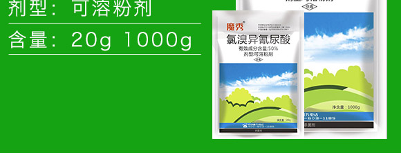 宐ᣨ1000g-ħ-ֲ