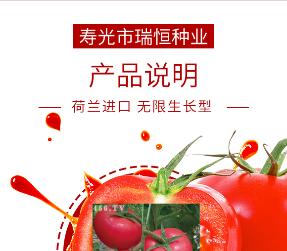 寿光市瑞恒种业有限公司_07.png