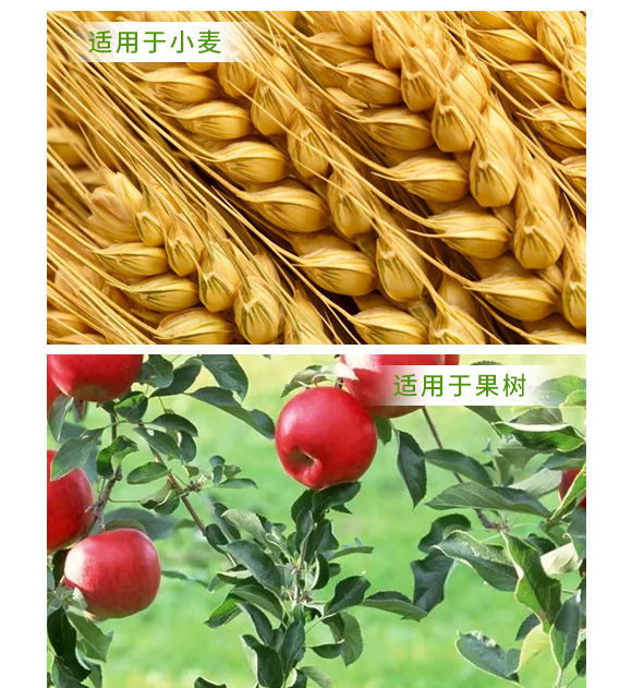 U大豆发酵复合微生物菌剂-金余_05.jpg