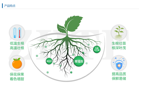 5kg壮根壮苗含腐植酸水溶?U赛·?安阳中盛1.jpg