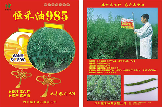 油菜U子-恒禾?85-恒禾U业2.jpg