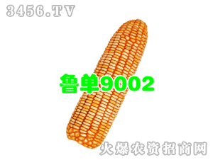 9002