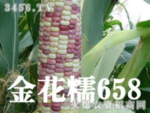 Ŵ658