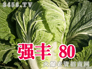 (qing)S80