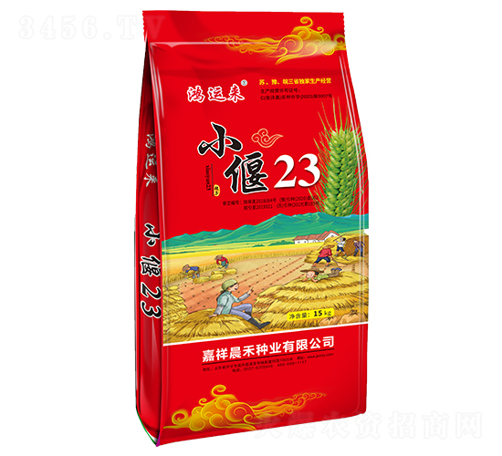 小偃23小麥種子-鴻運來-晨禾種業(yè)