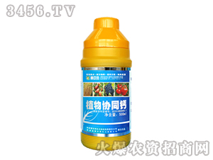 500mlֲf(xi)ͬ}-