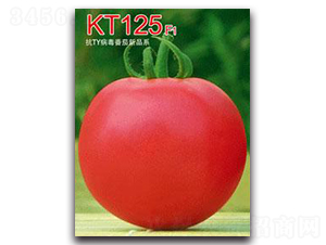 KT125F1-ѷN-ػ