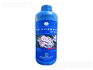 SM-036La(chn)Ƅ1000ml-ΰ