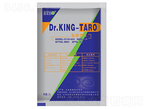 ձa(chn)ҺwDr.KING-TARO-֮