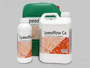 SPEEDFLOW Ca z}-~˹