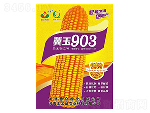 玉米種子-冀玉903-上之品農業(yè)